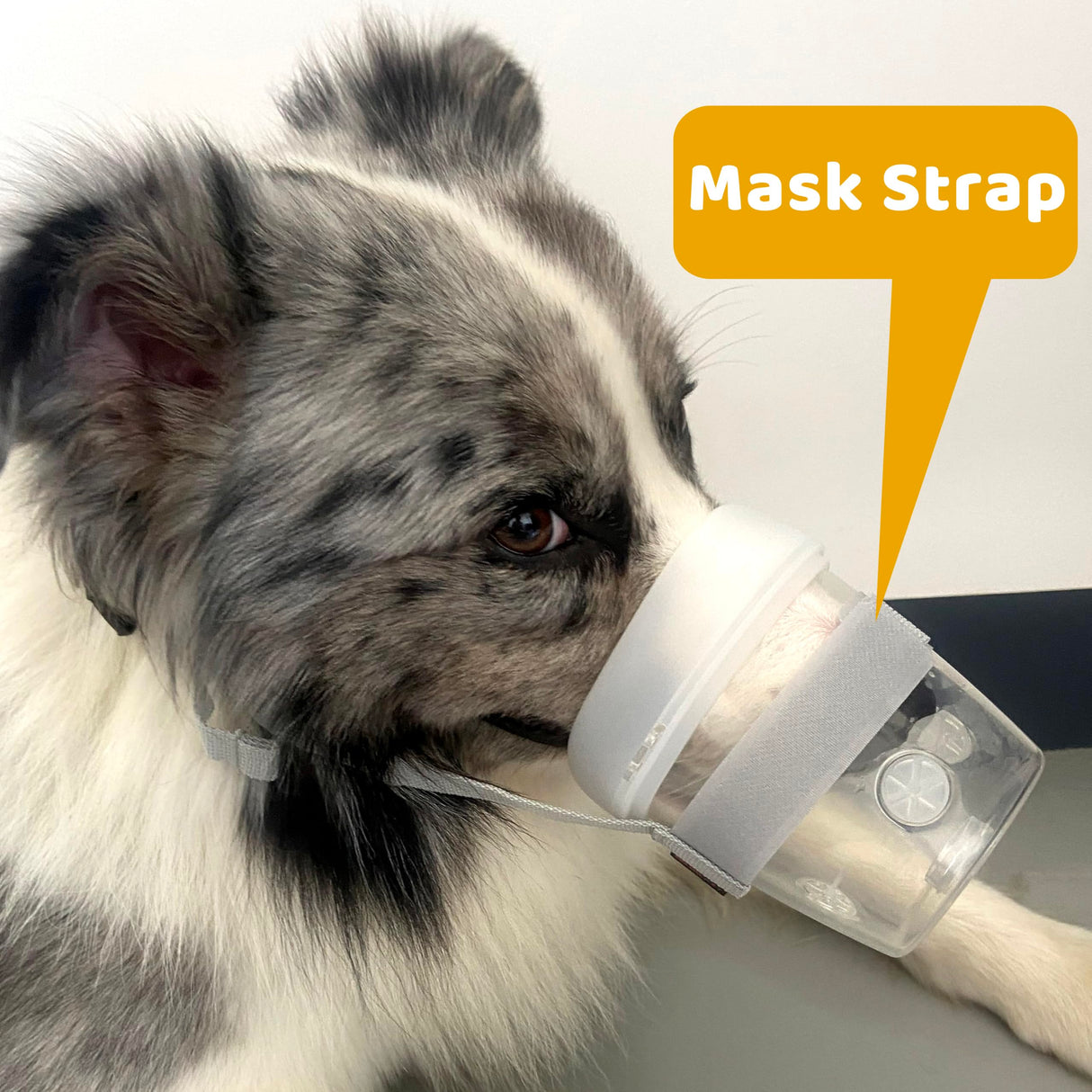 Pet Low Noise Nebulizer for Cats and Dogs (Medium - Dogs)