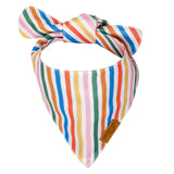 Remy+Roo Small Dog Bandanas - 2 Pack Birthday Set | Premium Durable Adjustable Polyester Fabric Dog Scarfs | Patented Shape, Trendy Patterns | Pack of Bandanas for Dogs