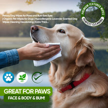 Load image into Gallery viewer, Petazy 400 Dog Wipes for Paws and Butt Ears Eyes | XL 8X8 Organic Pet Wipes for Dogs | Lavender Scent Dog Wipes Cleaning Deodorizing | Extra Thick Paw Wipes for Dogs Cats Pets | +4 Bonus Glove Wipes
