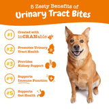 Zesty Paws Cranberry Supplement for Dogs - Bladder Control for Dogs - Urinary Tract Support - Cranberry Chews - Immune & Gut Support - Chicken - 90 Count