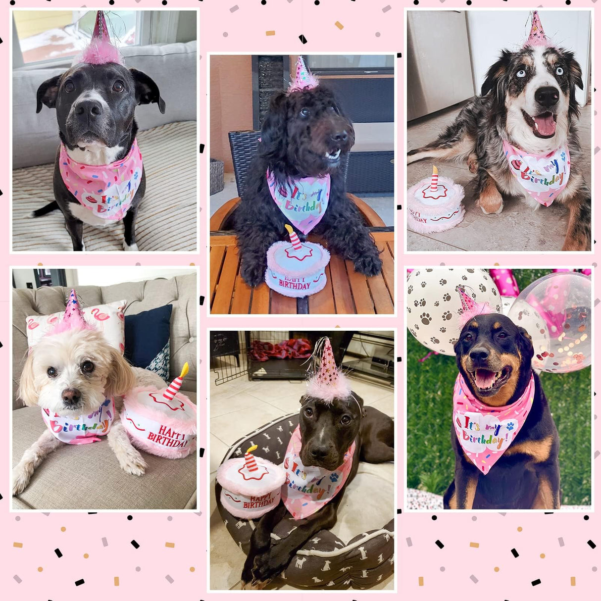EXPAWLORER Dog Birthday Bandana Set - Cute Hat and Squeaky Cake Toy for Birthday Party Supplies Gift - Great for Small Medium Large Dogs Blue