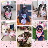 EXPAWLORER Dog Birthday Bandana Set - Cute Hat and Squeaky Cake Toy for Birthday Party Supplies Gift - Great for Small Medium Large Dogs Blue