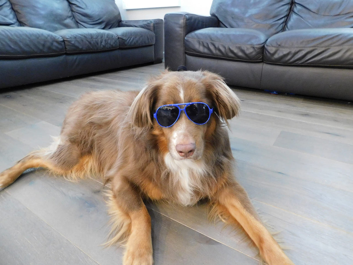 G010 Dog Pet Costume Prop Aviator Sunglasses Medium Breeds 20-40 lbs (2-Pack Black+Navy Blue)
