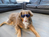 G010 Dog Pet Costume Prop Aviator Sunglasses Medium Breeds 20-40 lbs (2-Pack Black+Navy Blue)