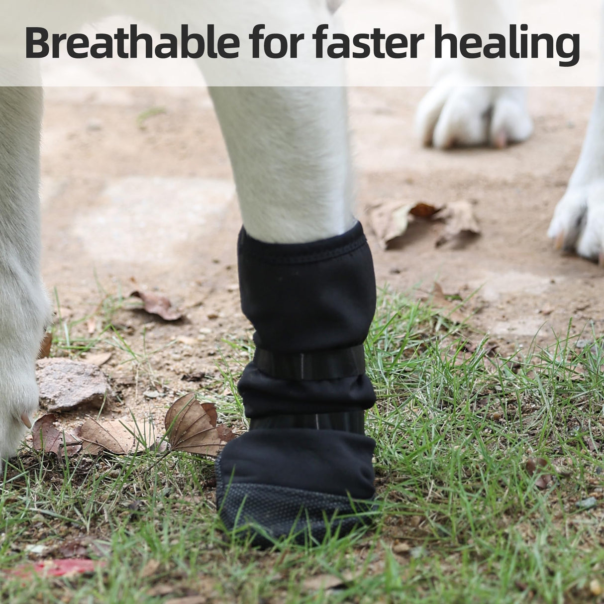 ETIAL Dog Paw Protector Injury & Wound Recovery Boot, Anti-Slip Dog Shoe with Dual Self-Adhesive Straps for Outdoor Walking & Keep Dogs from Licking Wounds (XL, Count, 2)