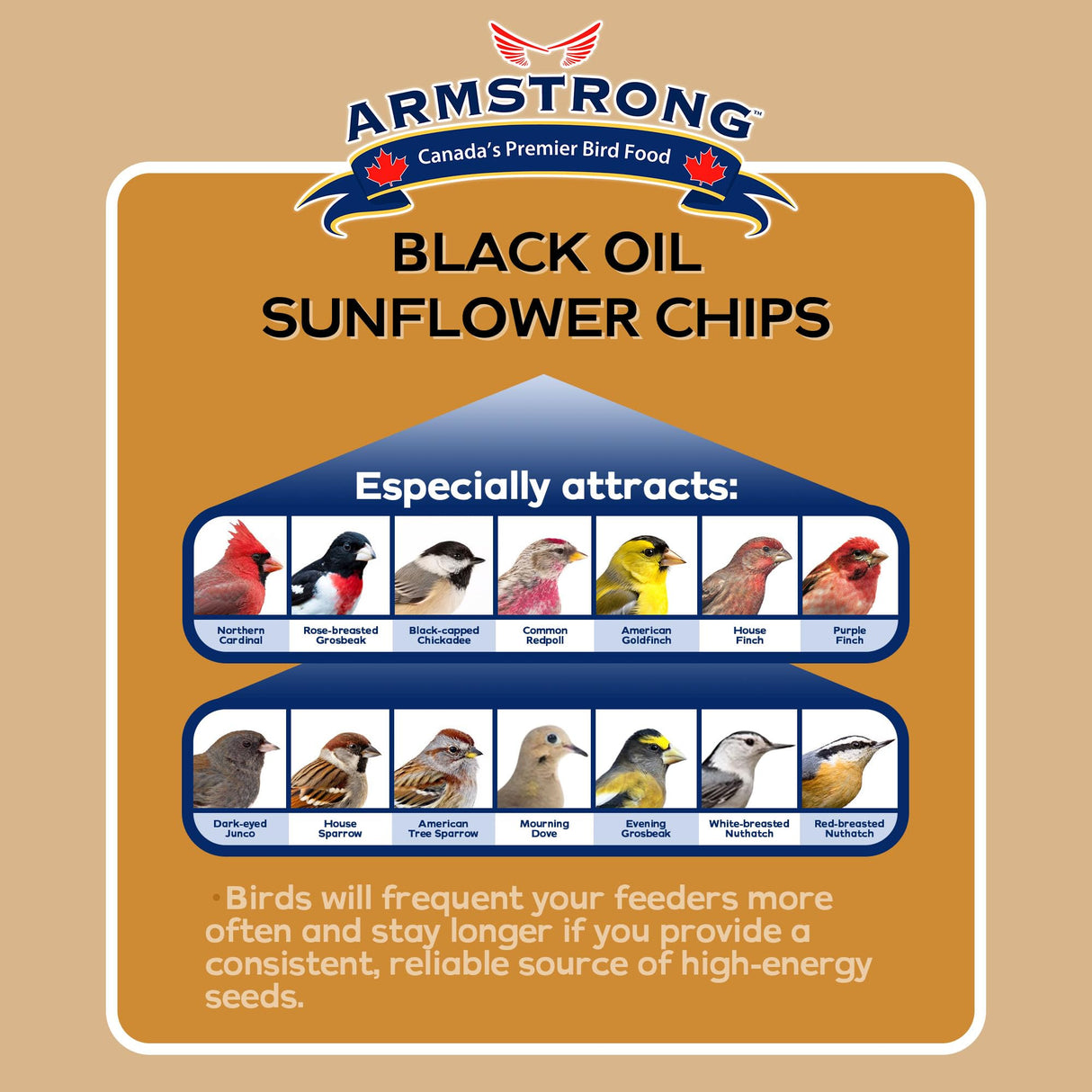 Armstrong Wild Bird Food Black Oil Sunflower Chips, 20 Pounds - for Northern Cardinals, American Goldfinches and Black-Capped Chickadees - Ideal for Outside Feeders