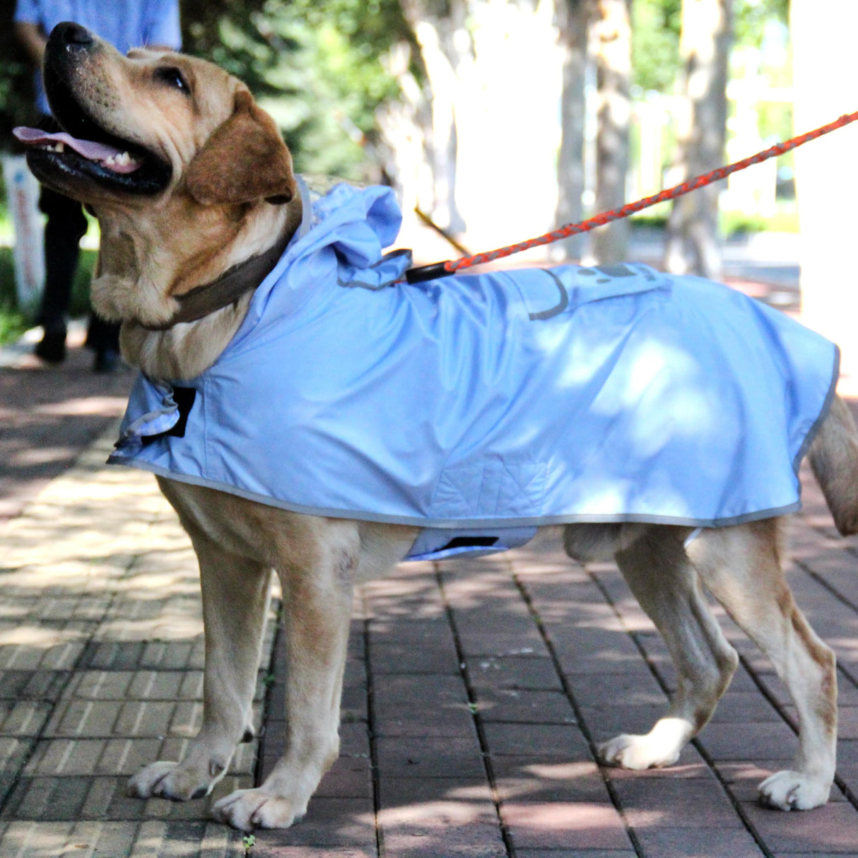 MAMORE Dog Raincoat Reversible,Waterproof Dog Rain Coat Hooded Slicker Poncho with Reflective Strip, Plaid Double Layer Rain Jacket for Small Medium Large Dogs (Light Blue, Large(22-37lb))