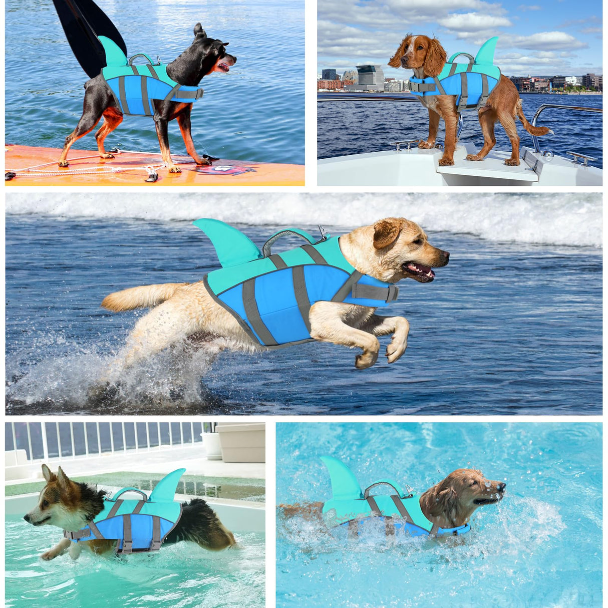 Doglay Shark Dog Life Jacket - Reflective Dog Life Vest for Swimming and Boating with Rescue Handle, Adjustable High Buoyancy Floating Vest for Small Medium Large Dogs