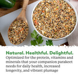 Dr. Harvey's Our Best Parakeet Food, Wholesome Seeds, Nuts, Fruits, and Vegetable Bird Feed for Budgies and Parakeets (4 Pounds/1.81 kg)