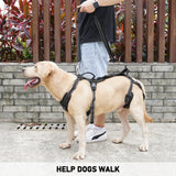 COODEO Mobility Dog Lift Harness, Support Sling & Walking Sling for Dogs, Pet Rear Leg Rehabilitation Support Vest, Dog Carrier for Senior Dogs with Joint Injuries, Arthritis, Up Stair (Black, XL)