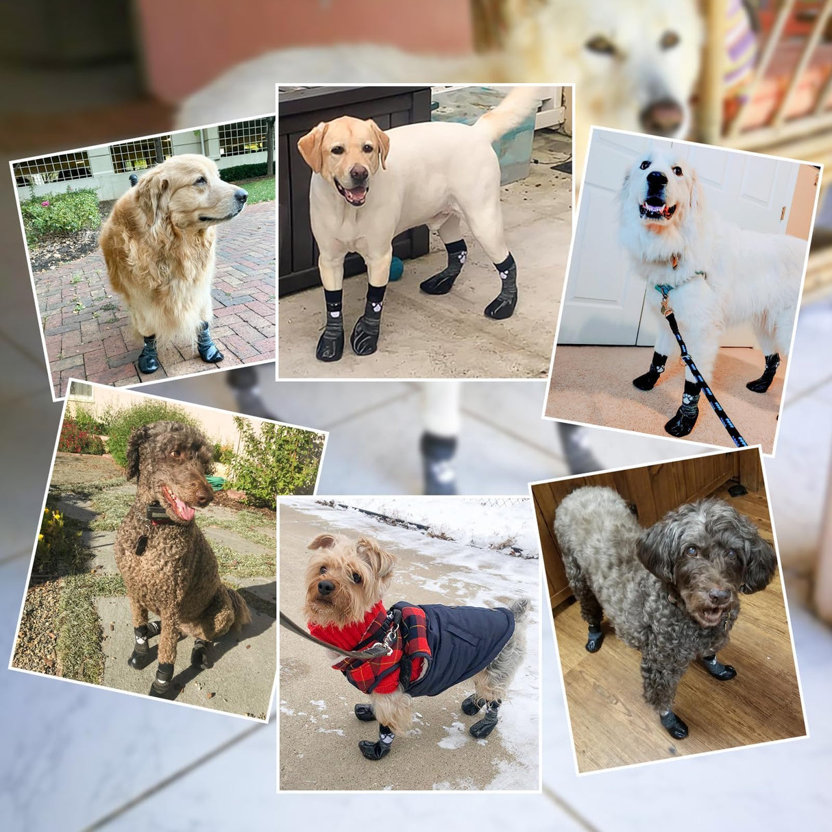 SCENEREAL Anti Slip Dog Boots & Shoes for Hot/Cold Pavement to Prevent Licking, Waterproof Dog Socks Paw Protectors for Small Medium Large Dogs, Traction Control on Hardwood Floor for Senior Dog, XXL