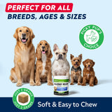 StrellaLab Dog Allergy Relief & Anti Itch Support Chews w/Omega 3: Real Ingredients, Real Taste! Skin & Coat Immune Supplement w/Fish Oil, Pumpkin & Enzymes — Developed by Experts - Made in USA -120Ct