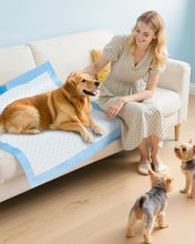 Load image into Gallery viewer, 50-Pack Extra Large Pee Pads - 34" x 28" Puppy Pads for Dogs with 6-Layer Leakproof Protection, Disposable and Quick-Dry Dog Pads with High Absorbency for Easy Potty Training
