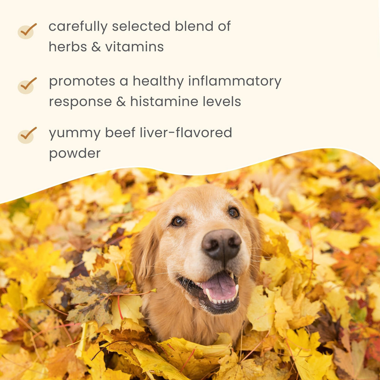 Dr. Mercola Bark & Whiskers Seasonal Support - Immune Support for Dogs & Cats - Quercetin - Butterbur Extract - Organic Stinging Nettle - 3.17 oz (90 Scoops)