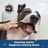 Barkbox Bright Durable Dog Dental Kit for Tough Chewers, 15 Chew Sticks & Toothpaste - Large Breeds