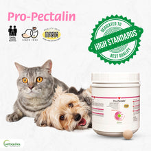 Load image into Gallery viewer, Vetoquinol Pro-Pectalin Chewable Tablets for Dogs &amp; Cats, Helps Relieve Occasional Diarrhea, Situational Diarrhea Relief with Kaolin and Pectin, Contains Beneficial Probiotic Bacteria, 250 ct
