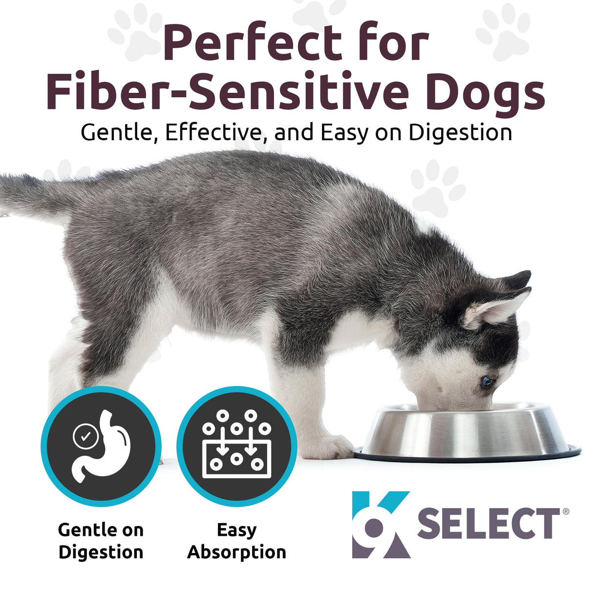 K9 Select HMR Lignans for Dogs - Enhancer for Overall Wellness, Immune Support for Dogs - Norway Spruce Extract Holistic Dog Health - Digestion, & Coat Care - Peanut Butter, 20mg, 90 Tablets