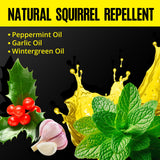Squirrel Repellent Outdoor 12 Pouches, Chipmunk Repellent Outdoor for Bird Feeders, Natural Squirrel Deterrent Keep Squirrels Out of Garden Yard, Squirrel Repellent for Attic Cars Engines Roof