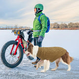 SCENEREAL Dog Sweater for Large Medium Small Dogs Girls Boys, Knitted Dog Winter Coat Warm Sweatershirts Outfits, Classic Pet Clothes with Leash Hole, Soft Pet Knitwear Apparel, Beige SM