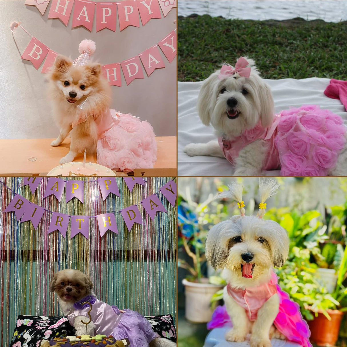 SMALLLEE_Lucky_Store Pet Small Dog Wedding Dress with Bowknot Birthday Party Costume Satin Rose Pearls Girl Formal Dress Cat Tutu Pink, Medium