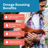 Hippy Chick Egg Booster for Chickens – Omega-3 Vitamin Supplement for Laying Hens – Egg & Feather Health Support – Natural Poultry Treat and Layer Feed Additive