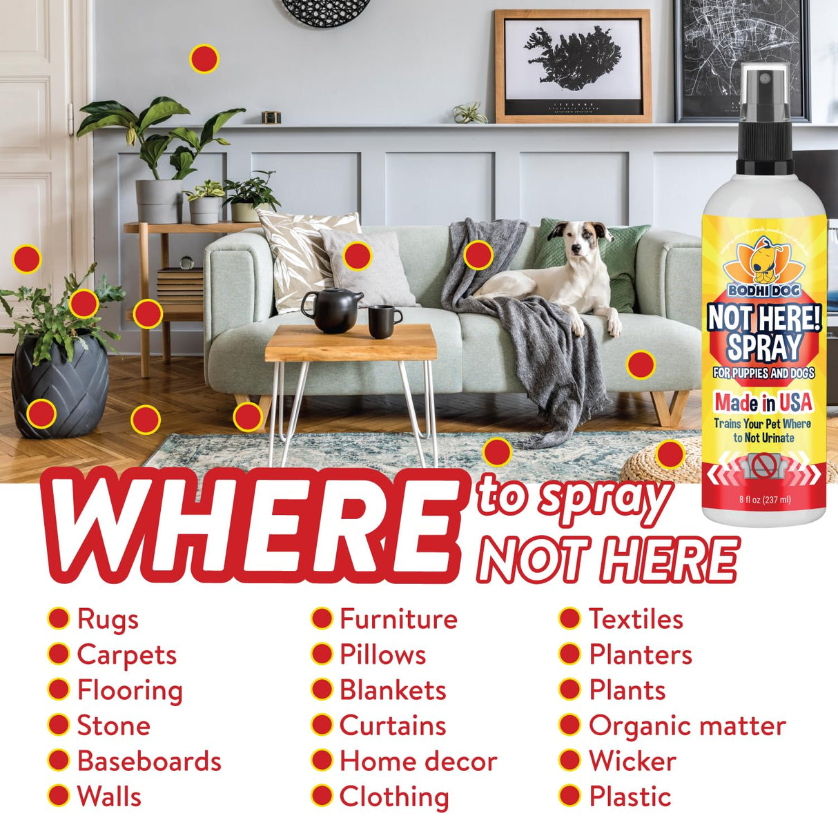 Bodhi Dog Not Here Spray - Trains Pets Where Not To Pee - Dog & Puppy Potty Training Spray to Stop Marking & Urinating Indoors or Outdoors - Safe for Furniture, Carpet & Floors - Made in USA (8 Fl Oz)