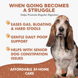 Dog Laxative Constipation Relief, Dog Stool Softener Remedy Eases Irregular Bowel Movements, Scooting & Rectal Itching; Supports Canine Digestion & Canine Gas Relief, 400 Odorless, Tasteless Pills