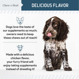 Probiotics for Dogs with Digestive Enzymes - 120 Soft Chews - Supports Healthy Digestive Tract, Helps Nutrient Absorption and Food Digestion - Probiotic & Prebiotic Dog Fiber and Gut Health Supplement