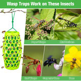 Wasp Traps Outdoor Hanging, Wasp Trap Bee Traps Catcher, Sticky Wasp Trap for Indoor/Outdoor, Effective Insect Trap,Carpenter Bees, Red Wasp & Paper Wasps-2 Pack 4 Sticky Boards(Green)