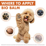 Dermoscent | Bio Balm | Natural, Organic, Healing Dog Paw Balm | Skin & Paw Soother For Dogs With Dry, Cracked, & Rough Paws | Veterinarian-Approved Paw Pad Moisturizer & Protector