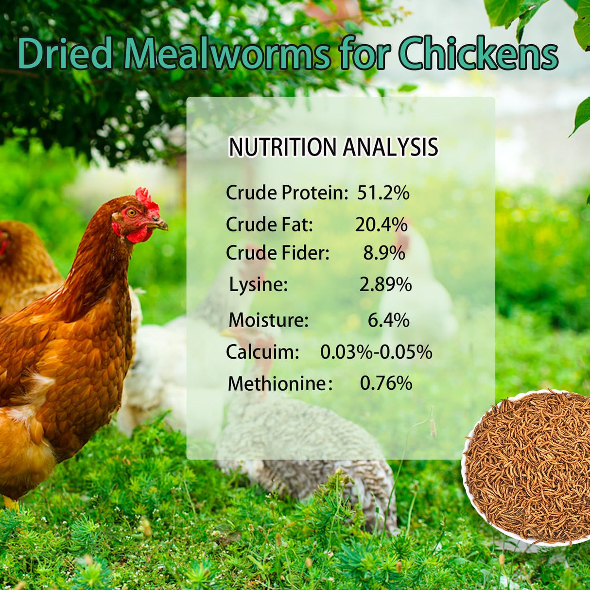 KAYHEN Dried Mealworms for Chickens 5LB Pure Natural Non-GMO High Protein Feed Meal Worms for Laying Hens Wild Birds