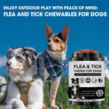 Dog Flea and Tick Chewable Supplement – Natural Support for Skin & Coat Health, Seasonal Comfort & Itch Relief – 180 Soft Chews with Chicken Flavor for Dogs & Puppies (180pcs)