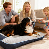 Extra Thick Soft Orthopedic Dog Bed - Comfortable Soft Fluffy Sofa Pet Bed for Small Dogs/Cats Up to 20 lbs, Reasonable Curves Dog Crate Pad with Non-Slip Bottom (Grey, 24" L x 18" W x 7" Th)