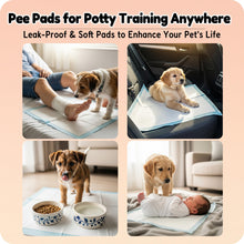 Load image into Gallery viewer, MoMoCo Puppy Pads, 23"x23"-100 Count Pet Pee Pads, Super Absorbent Disposable Dog Training Pads , Leak-Proof, Quick-Drying Potty Pads for Dogs Puppies
