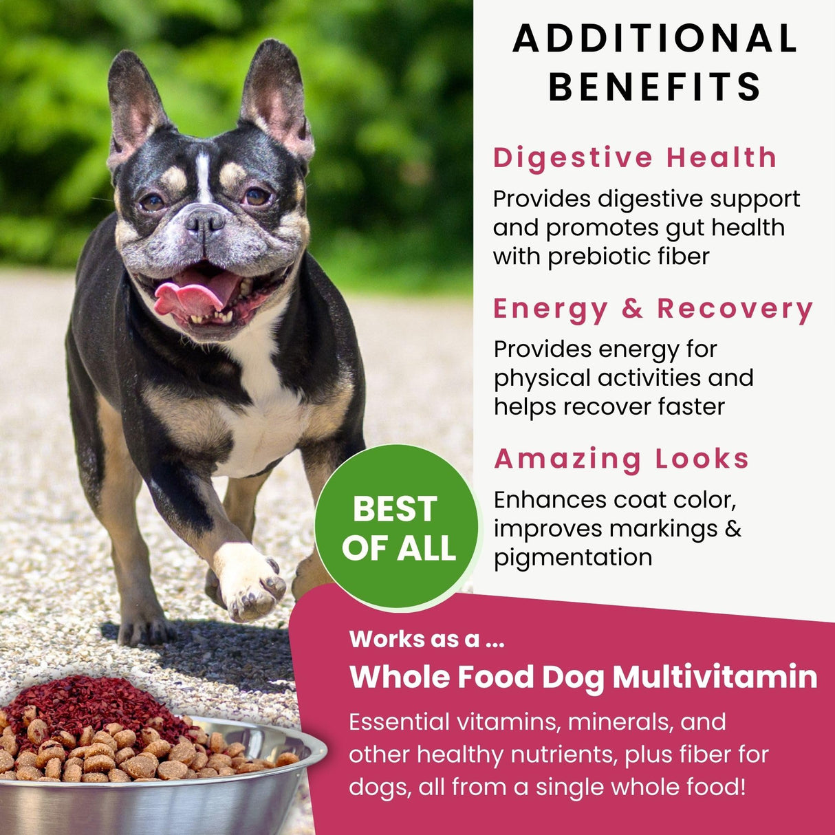 Olewo Red Beets for Dogs Granular – Natural Anti Itch Dog Food Topper, Immune, Cleansing, Skin & Coat Support, Dehydrated Whole Food Multivitamin & Fiber, 22 oz