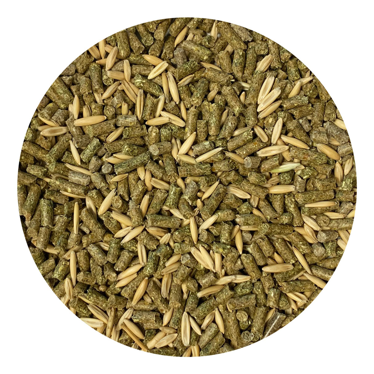 Exotic Nutrition Degu Diet (2.5lb) - Nutritionally Complete Healthy Pellet Diet with Whole Oats - for Domesticated Pet Degus
