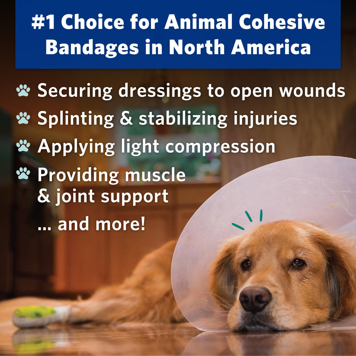 OVIK Health PetFlex No Chew – Flexible Self-Adhering Elastic Bandage for Wound Care – First Aid Wrap for Small Animals Like Dogs, Cats, and Other Pets - 2 inch, 6 Rolls