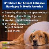 OVIK Health PetFlex No Chew – Flexible Self-Adhering Elastic Bandage for Wound Care – First Aid Wrap for Small Animals Like Dogs, Cats, and Other Pets - 2 inch, 6 Rolls