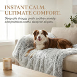 PJYuCien Dog Blankets for Medium Large Dogs Washable - Fluffy Fuzzy Cat Blanket for Couch, Puppy Throw for Furniture with Polyester Fleece, Super Soft Plush for Pet Kitten Doggy, Grey, 50" x 60"
