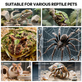MYGIIKAKA Jumping Spider Enclosure Accessories, Tarantula Spider Box, Bug Cage, Praying Mantis Habitat Enclosure, Snail Insect Terrarium, Caterpillar Habitat (6x6x12 inch)