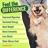 Azestfor Homemade Dog Food Vitamins Pre-Mix Powder – 24 Essential Nutrients – Supplement for Raw, Barf & Grain Free – for All Breeds & Ages – 16oz Veggie Flavored