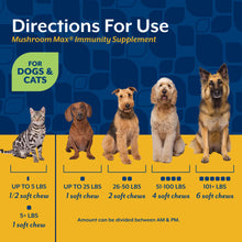 Load image into Gallery viewer, NaturVet Mushroom Max Advanced Immune Support Dog Supplement – Helps Strengthen Immunity, Overall Health for Dogs – Includes Shitake Mushrooms, Reishi, Turkey Tail – 120 Ct.
