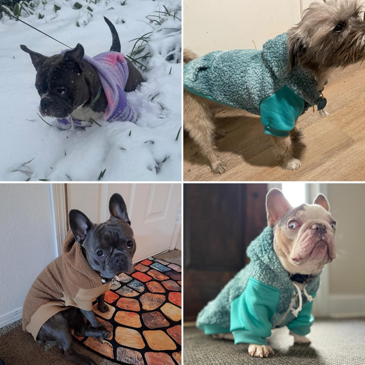 BINGPET Dog Hoodie for Large Medium Small Dogs, Sherpa Hooded Dog Sweater with Pocket Leash Hole for Boy Girl Dogs,Soft Warm Fleece Dog Winter Clothes Cold Weather Coats Jacket for Puppy Sweatshirt,L