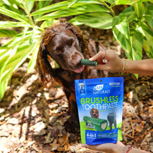 Load image into Gallery viewer, Ark Naturals Brushless Toothpaste, Dog Dental Chews for Medium Breeds, Freshens Breath, Helps Reduce Plaque &amp; Tartar, 18oz, 1 Pack
