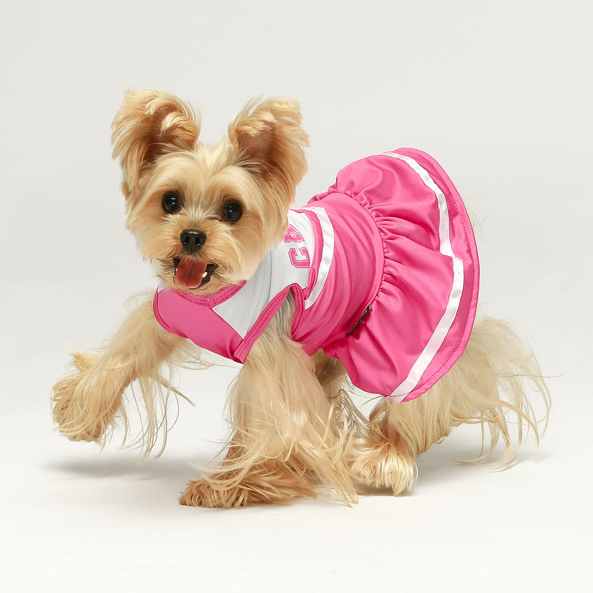 Fitwarm Cheerleader Dog Costume, Sporty Cheer Dog Dress for Small Dogs Girl, Pet Clothes Cat Outfits, Pink White, XS