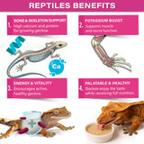 Gargeer 'Picky Geck' Growth - Premium Crested Gecko Food | High-Protein Fruit Formula for Bone & Muscle Support | No Fillers - Only Premium Ingredients | 2oz | Made in USA. Enjoy !