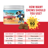 Bernie's Marvelous Mobility - Daily Total Joint Support for Dogs - 90 Soft Chews - Maintain & Rebuild Mobility, Supports Joint Tissue Health