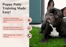 Load image into Gallery viewer, DoggieLawn Dog Potty - Real Grass - XLarge 24x48 inches
