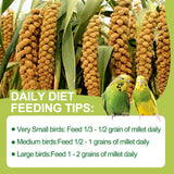 MEILLEURE 2LB Spray Millet Bird Treat for Parakeets, Natural Sun-Dried Birds Millet Spray for Parrots, Finches, Cockatiel, Budgie & Hamster, Bird Food Bulk