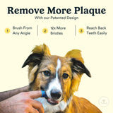 Jasper Dog Toothbrush, 360 Degree Dog Tooth Brushing Kit, Cat Toothbrush, Canine Dental Care & Teeth Cleaning Kit, Pet Finger Tooth Brush, Use with Pet Toothpaste, 4-Pack Blue